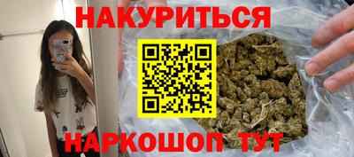 крисы Славгород