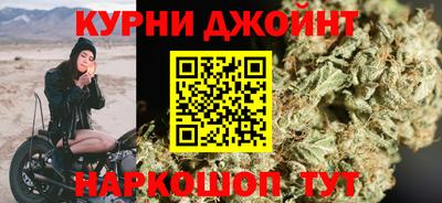крисы Славгород