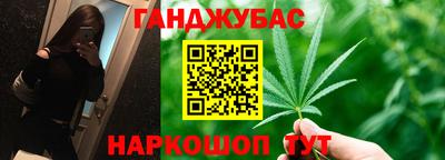 крисы Славгород