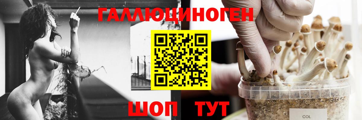 Уварово  Галлюциногенные грибы прущие грибы  Вход с VPN 